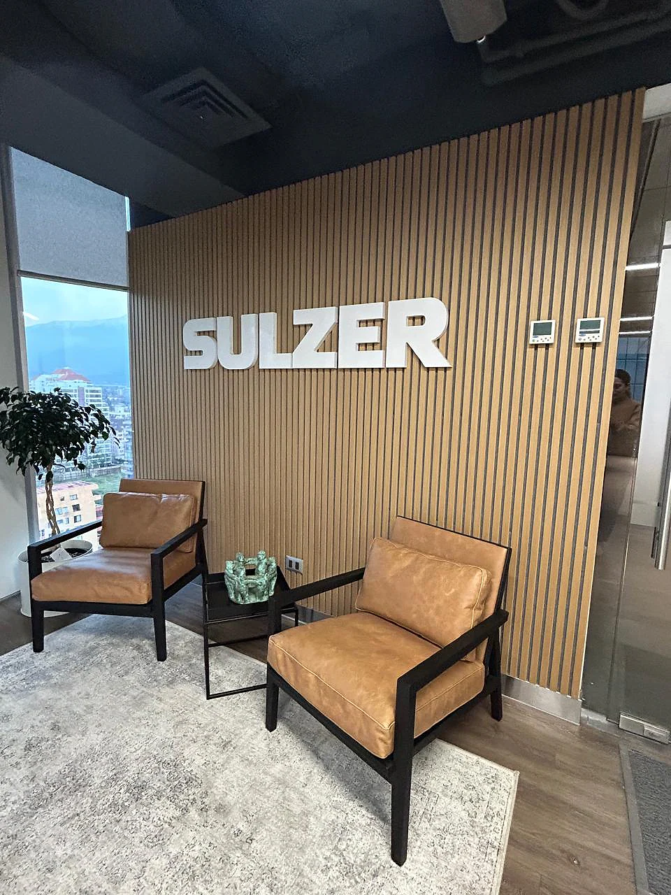 Sulzer