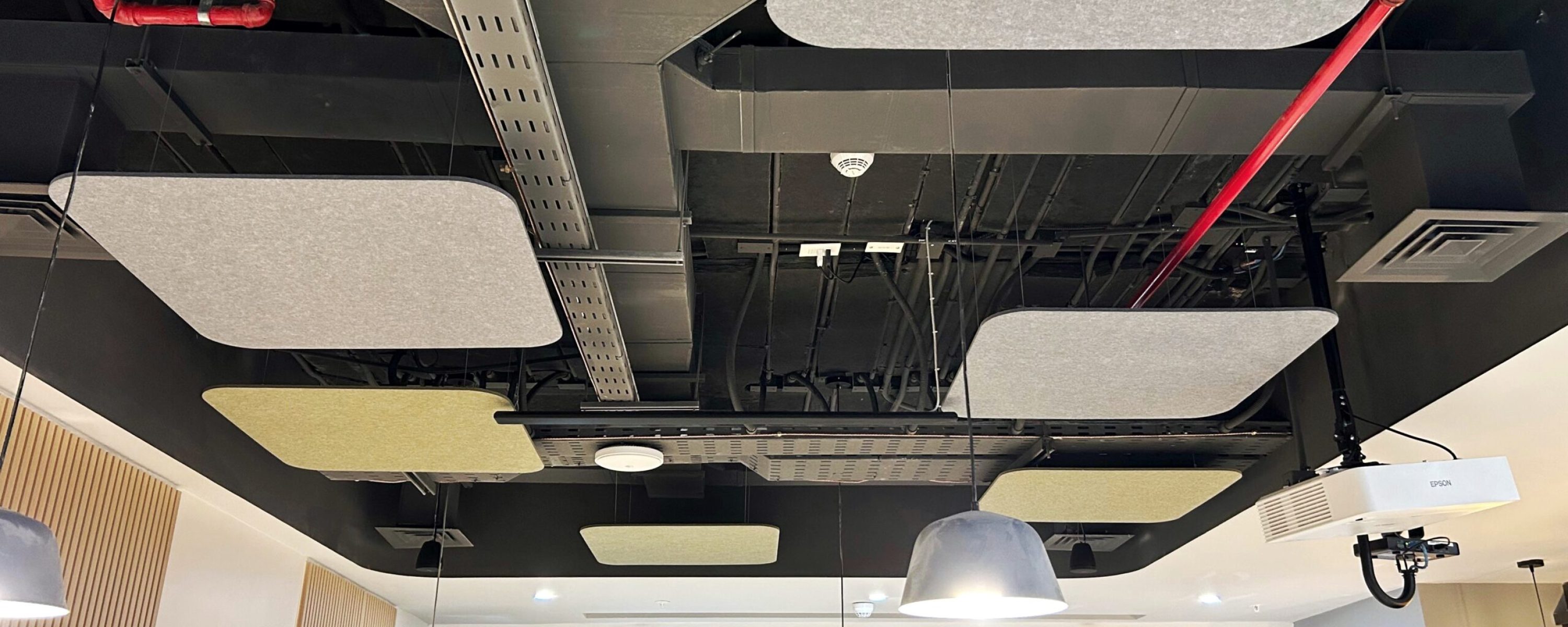 35176e1e-3407-4cff-960d-45528e3c4230 2